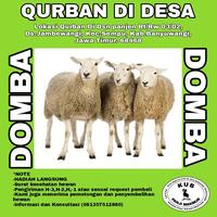 Gambar PROGAM BERBAGI QURBAN KAMBING DOMBA DI DESA - 25kg dari KUB PANJI MAKMUR undefined 1 Tokopedia