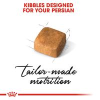 Gambar Royal Canin Persian Kitten Dry Makanan Anak Kucing 2 kg dari CV PERMATA SAHABAT MAJU undefined 4 Tokopedia