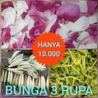Gambar bunga 3 rupa kembang tiga rupa mawar kenanga kantil paket murah dari EQHASTORE undefined 1 Tokopedia