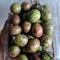 Gambar buah matoa 1 kg dari Jakartafresh-23 undefined 2 Tokopedia