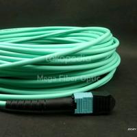 Gambar MPO to MPO 12Core OM3 SR Multimode Female type B 55 Meter Pabrikasi dari MEGA FIBER OPTIC undefined 1 Tokopedia