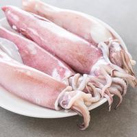 Gambar CUMI SEGAR FRESH - 1KG dari Sentra Ikan Kering undefined 1 Tokopedia