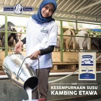 Gambar Etawaku Platinum Susu Kambing dari RWSSHOPP undefined 4 Tokopedia