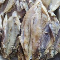 Gambar Ikan Asin Inul Buntek 250gr dari ONSEDA undefined 2 Tokopedia