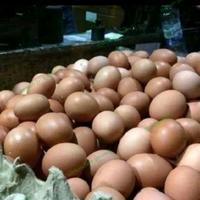 Gambar telor ayam negeri 1 kg dari MALIKA GROSERY undefined 2 Tokopedia