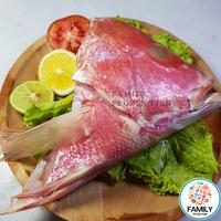 Gambar Kepala Kakap Merah Besar Segar Frozen | Kepala Ikan Kakap dari Family Frozen Fish Official undefined 3 Tokopedia
