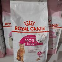 Gambar royal canin exigent protein 2kg - RC cat exigent protein dari Ori Petshop 5 undefined 1 Tokopedia