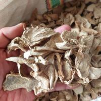 Gambar Lempuyang Kering 1kg - Puyang Iris Kering dari Herbal Supplier undefined 1 Tokopedia