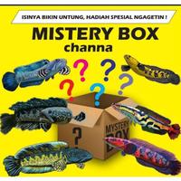 Gambar original misteri box ikan chana limbata isi 2 ekor size 10-13 cm, dari Shapat-makmur undefined 1 Tokopedia