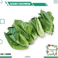 Gambar SAWI CECIWIS 250gr dari Vegetables Store undefined 1 Tokopedia
