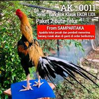 Gambar telur 2 butir ayam bangkok ekor lidi sampartaka dari toko jnsvis undefined 1 Tokopedia