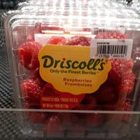 Gambar Raspberry Impor USA Driscolls Fresh perpack dari Qeenfood undefined 2 Tokopedia
