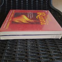 Gambar Paket Rubaiyat Rumi - 2 Buku dari SamudraSolo undefined 3 Tokopedia