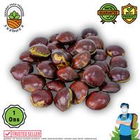 Gambar Jengkol tua per 100 gram dari Yezbozz Shop undefined 1 Tokopedia