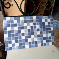 Gambar KERAMIK DINDING KAMAR MANDI 25X40 CIRCLE BLUE-BIRU POLKADOT dari MURAH MERIAH SANGAT undefined 4 Tokopedia