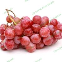 Gambar buah anggur merah manis dari UD SURYA BUAH SEGAR undefined 1 Tokopedia