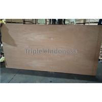 Gambar Triplek Container Flooring MERANTI / KRUING 28mm 122x244cm dari Triplek Indonesia undefined 1 Tokopedia
