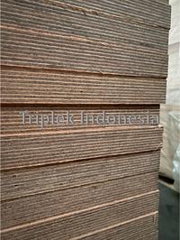 Gambar Triplek Container Flooring MERANTI / KRUING 28mm 122x244cm dari Triplek Indonesia undefined 5 Tokopedia