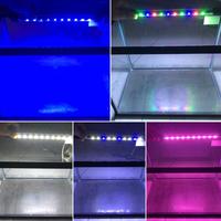 Gambar Lampu led SAKKAI PRO T4-LED 60 - Putih dari Sakkai Pro Aquatic Medan undefined 3 Tokopedia