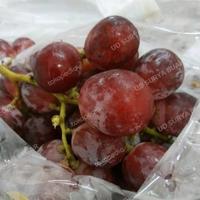 Gambar buah anggur merah manis dari UD SURYA BUAH SEGAR undefined 2 Tokopedia