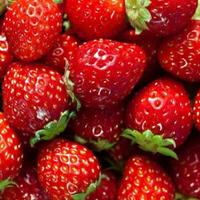 Gambar Buah strawberry 1 kilo dari WARUNG SAYUR BEKASI FRESH undefined 1 Tokopedia
