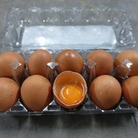 Gambar TELUR AYAM NEGERI Omega PER 10 BUTIR / Box Mika dari Agan Telur undefined 3 Tokopedia