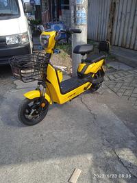 Gambar Sepeda listrik Pacific Exotic - Kuning dari Sepeda Listrik Murah SBY undefined 5 Tokopedia