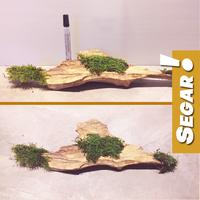 Gambar Kayu Panorama Hiasan Aquarium Tanaman Aquascape Non Akar dengan Moss dari mybigbox undefined 2 Tokopedia
