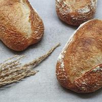 Gambar BEAU Bakery Rustic Sourdough Terlaris!!! - Sliced dari Choko Olshop undefined 2 Tokopedia