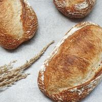 Gambar BEAU Bakery Rustic Sourdough Terlaris!!! - Sliced dari Choko Olshop undefined 1 Tokopedia