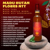 Gambar MADU HUTAN FLORES NTT MADU ASLI MADU MENTAH MURNI RAW HONEY MADU TARA - 525 gr dari madu tara indonesia undefined 3 Tokopedia