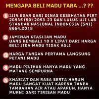 Gambar MADU HUTAN FLORES NTT MADU ASLI MADU MENTAH MURNI RAW HONEY MADU TARA - 525 gr dari madu tara indonesia undefined 4 Tokopedia