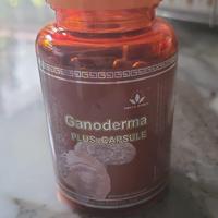 Gambar Obat Kanker Usus / Kista / Tumor- Ganoderma Plus Capsule 100% Original dari DEPO HERBAL MURAH undefined 1 Tokopedia