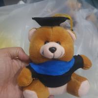 Gambar Boneka Wisuda Teddy bear 14 cm dari SERABUTAAAN undefined 2 Tokopedia