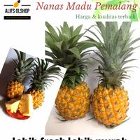 Gambar nanas madu dari alifs olshop undefined 1 Tokopedia