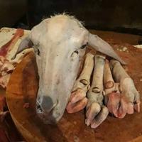 Gambar Daging kepala kambing muda plus 4 kaki dijamin fresh segar 800-1kg dari pasarbadung online undefined 3 Tokopedia