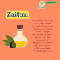 Gambar Minyak Zaitun Extra Virgin Olive Oil isi 60 ML dari lapakherbal_hni undefined 2 Tokopedia