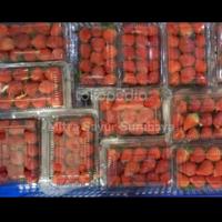 Gambar strawberry - 12 Pak dari Mitra sayur surabaya undefined 3 Tokopedia
