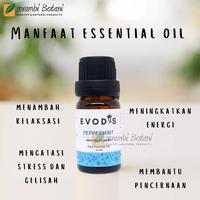Gambar Essensial Oil Peppermint (Mentha Piperita) 10ml dari Serambi Botani_NEW undefined 3 Tokopedia