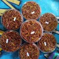 Gambar belalang goreng paket 3 75rb - gurih asin dari naurafenita undefined 1 Tokopedia