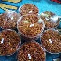 Gambar belalang goreng paket 3 75rb - gurih asin dari naurafenita undefined 4 Tokopedia