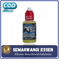 Gambar Essen Ikan Bawal Galatama Indukan by SEMARWANGI - Aroma Lebih Mantul dari Aquatic Essen Terbaik undefined 1 Tokopedia