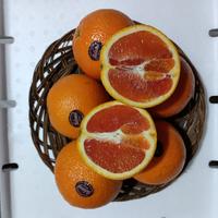 Gambar JERUK SANKIS CARA CARA AUSSIE FRESH MNIS PER 1 KG dari toko buah segar albarokah undefined 4 Tokopedia