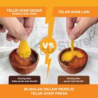 Gambar Telor Ayam Premium 30 butir ( 1 tray ) telur ayam negri segar grade A - 1 Tray dari Seven Plus Indonesia undefined 3 Tokopedia