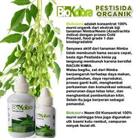 Gambar Pestisida Nabati Pembasmi Alami Hama Kutu Tanaman Organik Hidroponik - Oil 30ml dari Plantarum undefined 3 Tokopedia