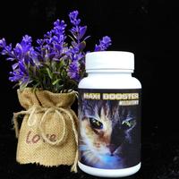 Gambar Vitamin kucing terbaik vitamin bulu nafsu makan imun dan pencernaan dari ADOPSI KUCING RAS. undefined 2 Tokopedia