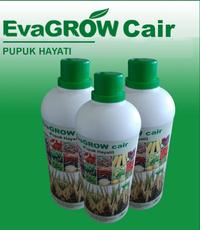 Gambar EvaGROW Cair - Bio Organic Fertilizer - Pupuk Hayati - Pupuk Organik dari evagrowofficial undefined 1 Tokopedia