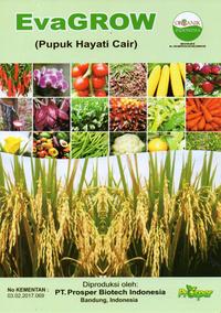 Gambar EvaGROW Cair - Bio Organic Fertilizer - Pupuk Hayati - Pupuk Organik dari evagrowofficial undefined 3 Tokopedia