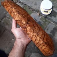 Gambar Gembol Kayu Burl Jati Kode C dari don setyawan undefined 5 Tokopedia