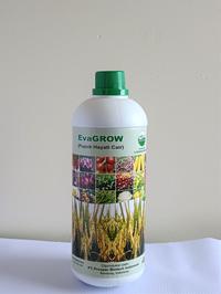 Gambar EvaGROW Cair - Bio Organic Fertilizer - Pupuk Hayati - Pupuk Organik dari evagrowofficial undefined 2 Tokopedia